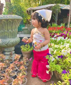 Dainty Dollhouse Gharara ezdockpk
