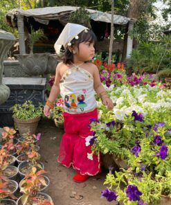 Dainty Dollhouse Gharara ezdockpk