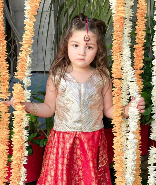 Royal Ruby Lehenga ezdockpk
